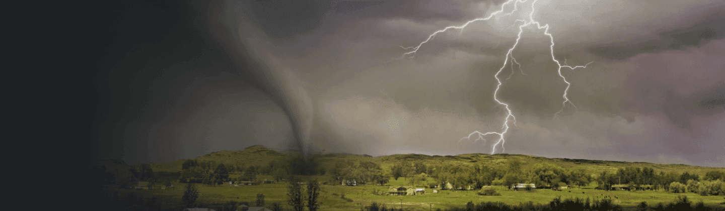 New York Emergency Response Guide.png